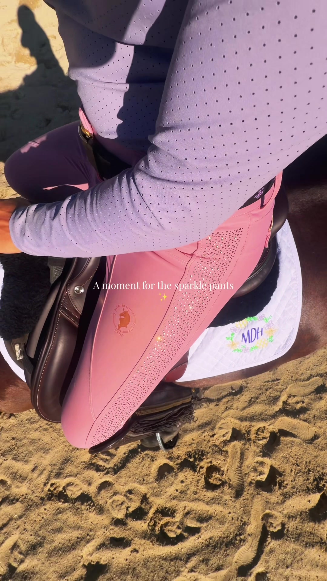 @Maria💜| Equestrian🦄