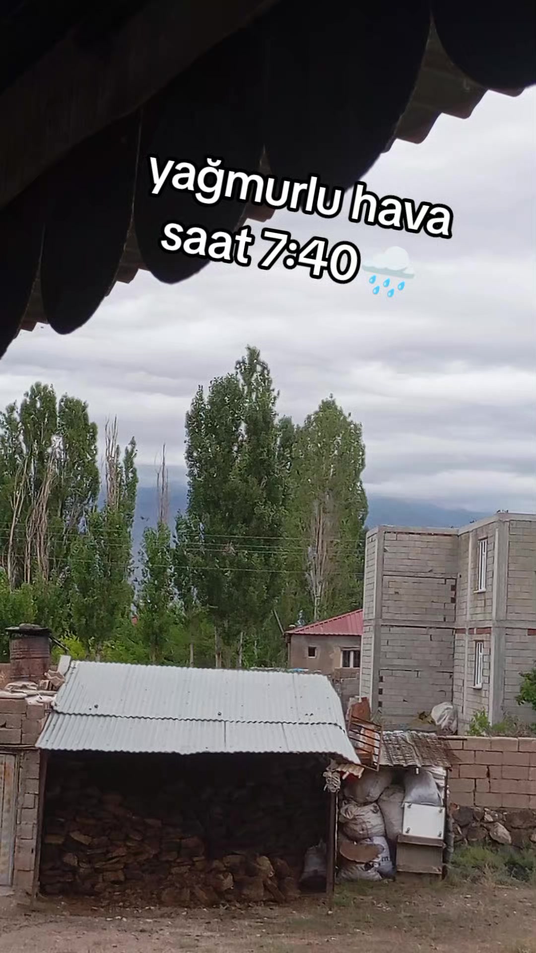 @bazidli adem04