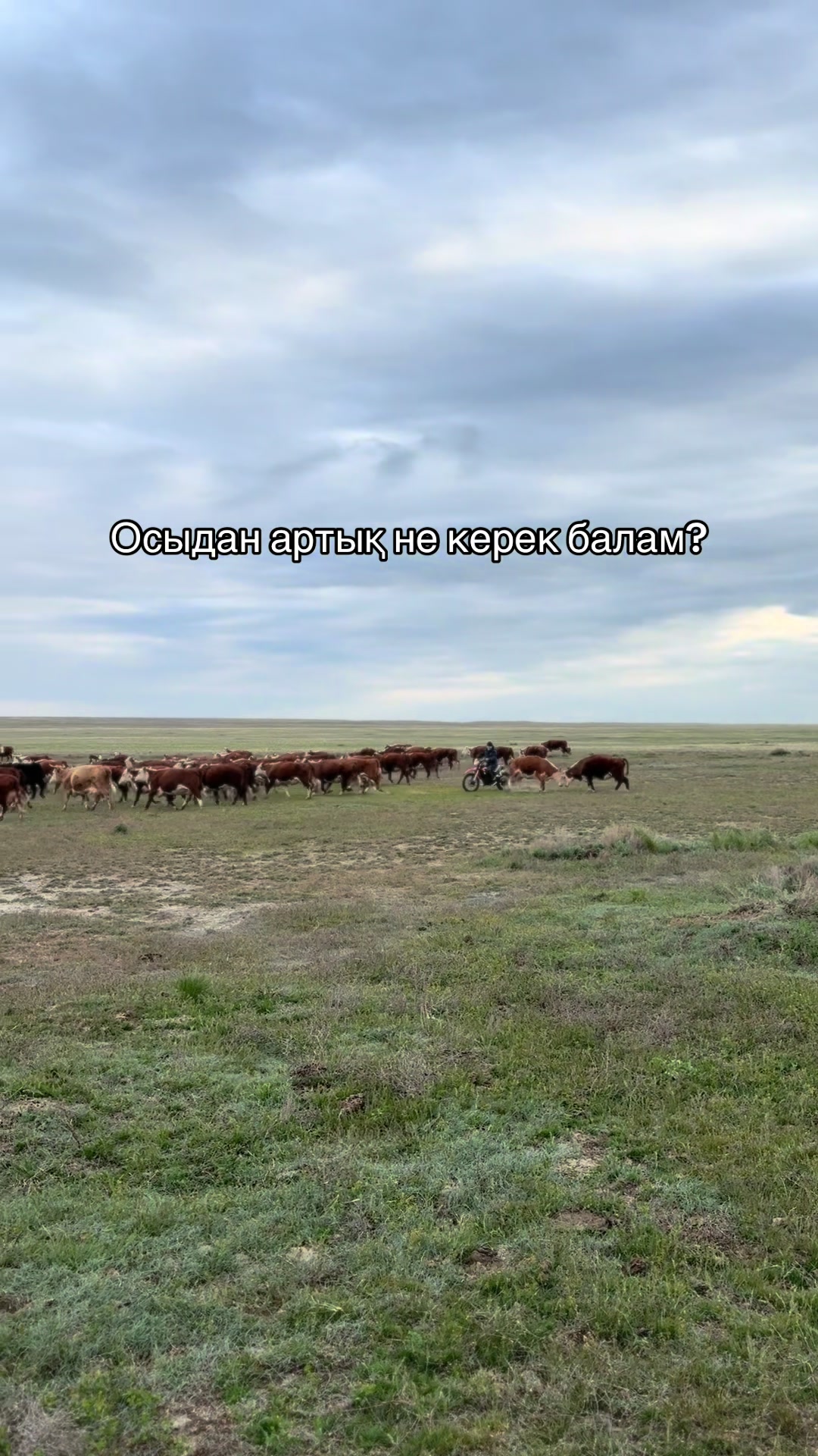 @kh.dan1yar