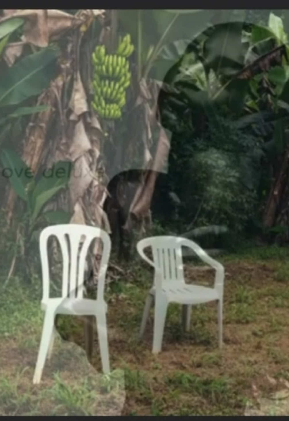 @🇸🇻 𝖠𝖼𝖾 ⁾ˡ⁽