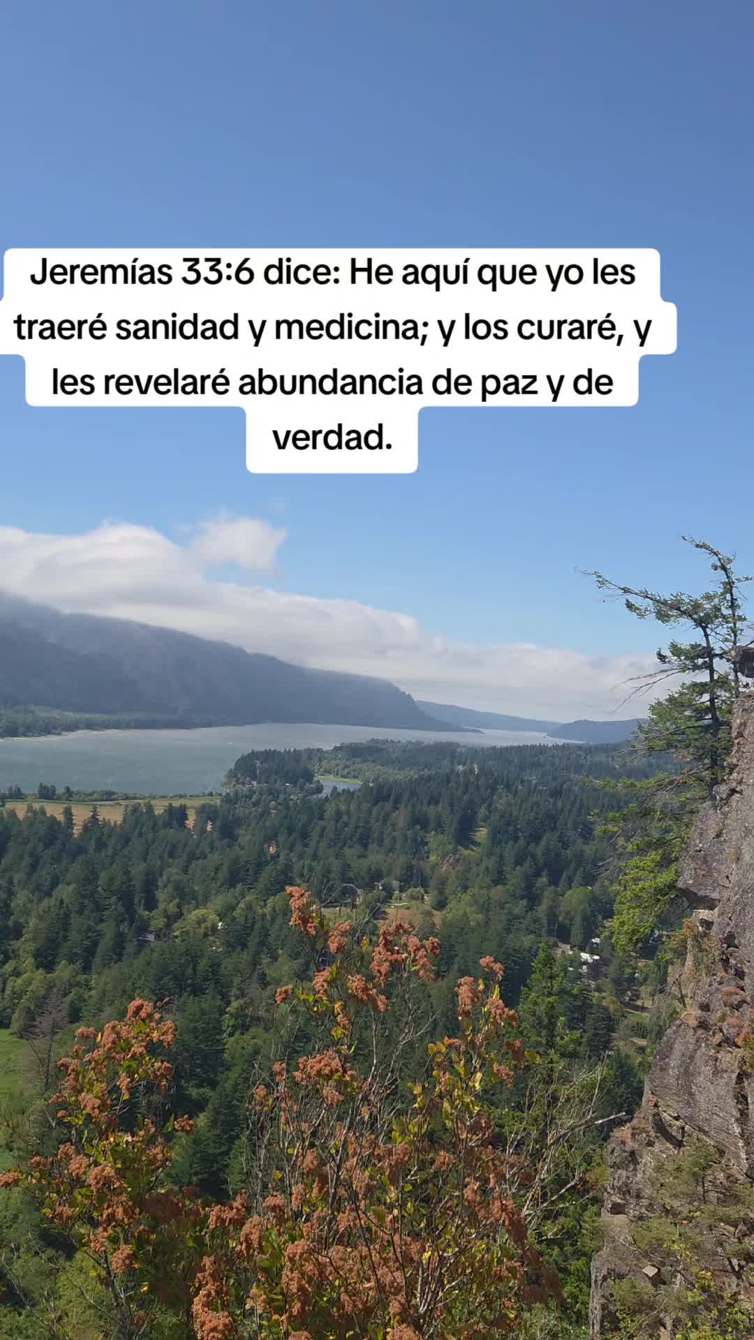 @vega🚶♂️🚶🏕