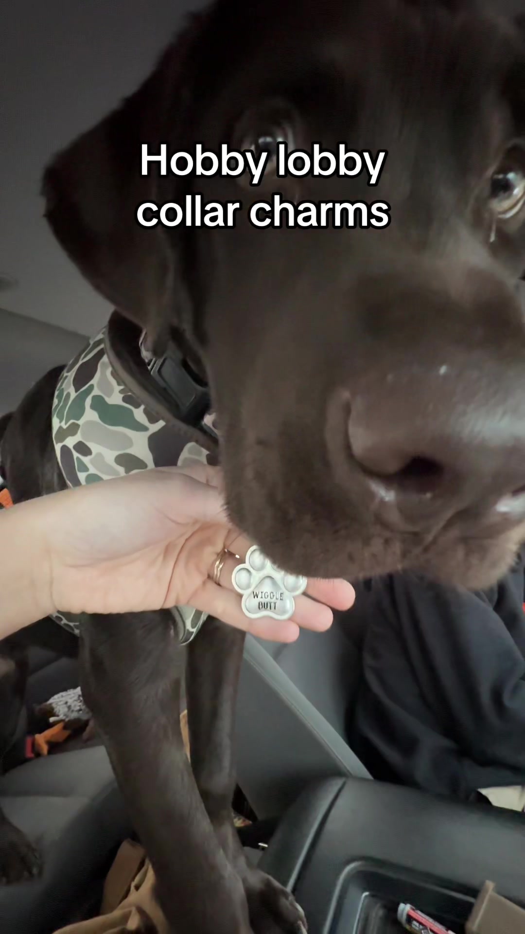 @moose the angel🕊️