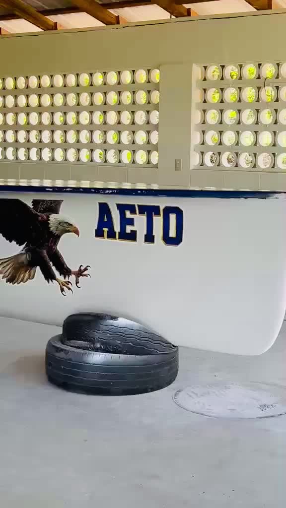 @KUOLI | FALEFA PAGOPAGO🦅🇦🇸