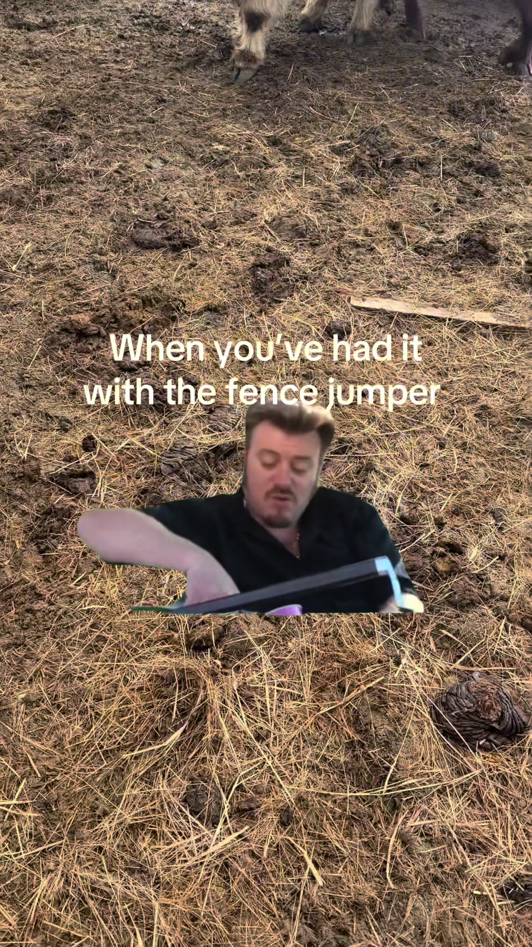 @cattleman840