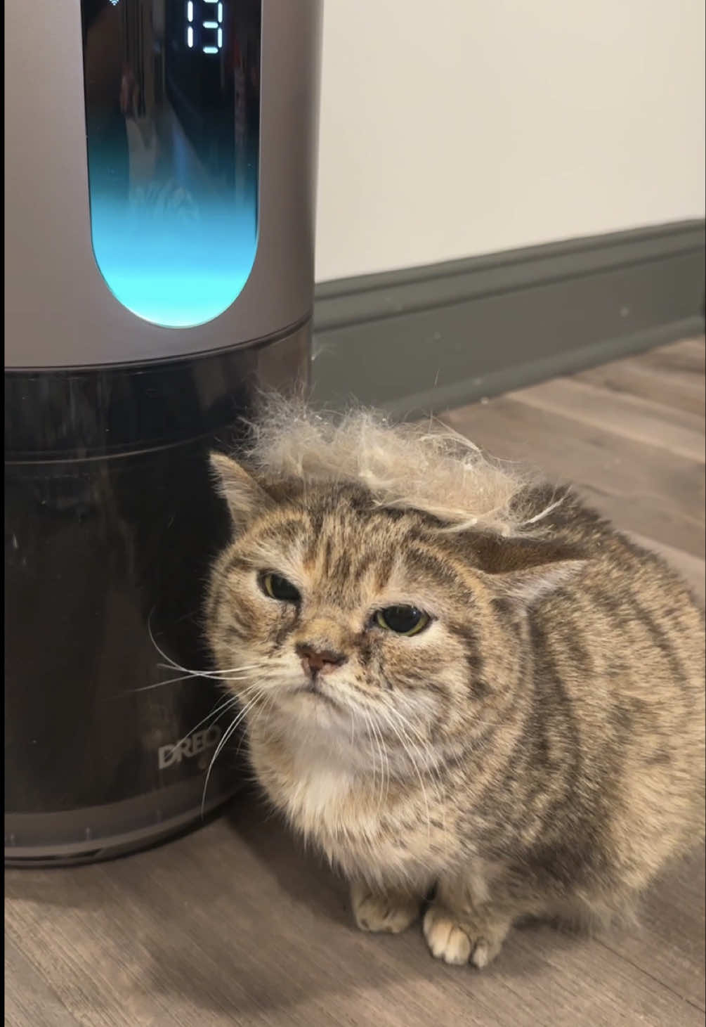 @𝓜𝓮𝓵𝓸𝓭𝔂 & 𝓙𝓲𝓰𝓰𝔂