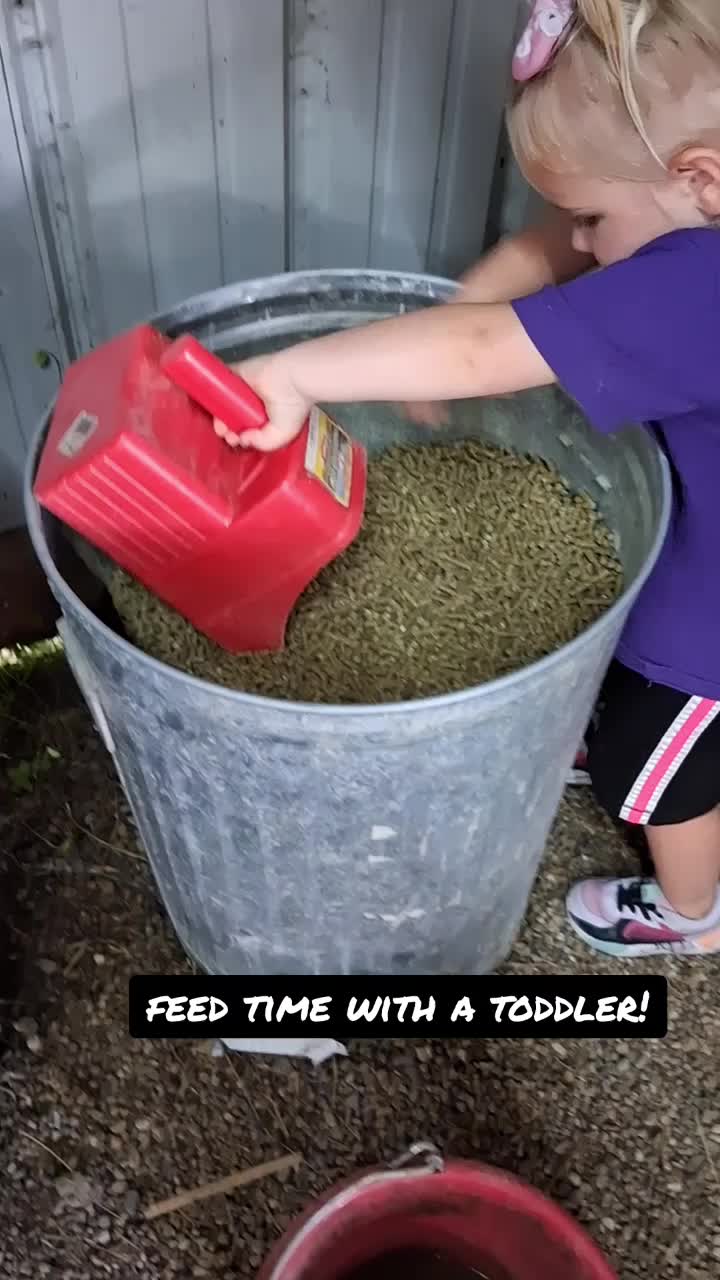 @Taylor | Sah{farm}m