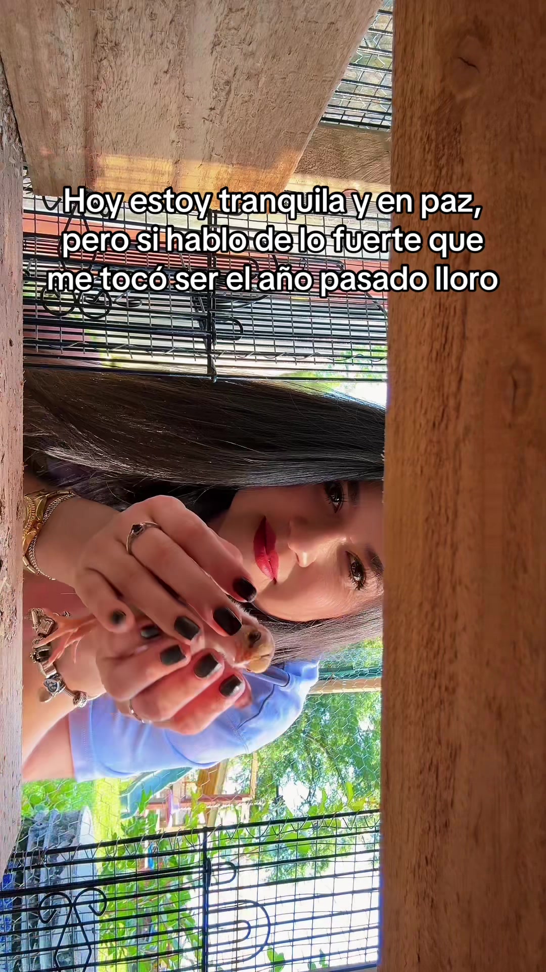 @Fabi 🕷️