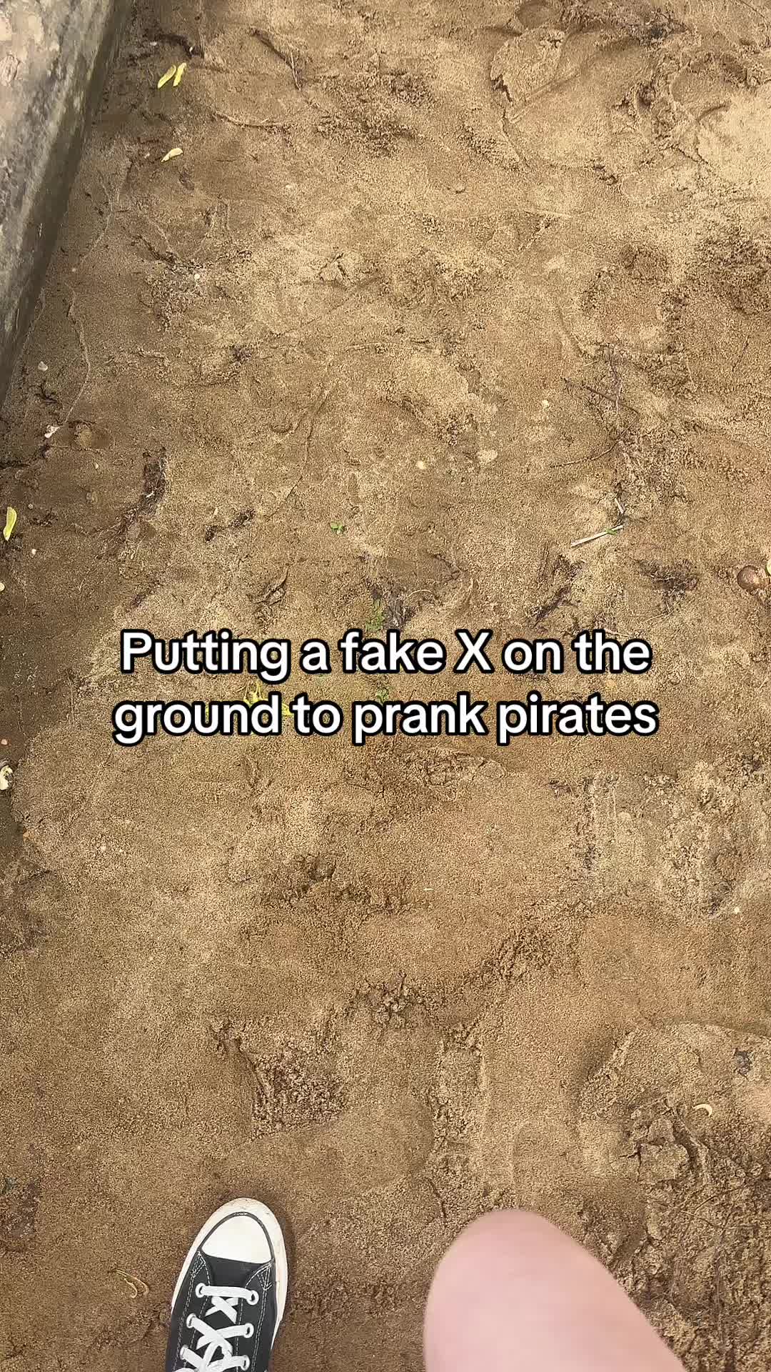 @moon 🌙