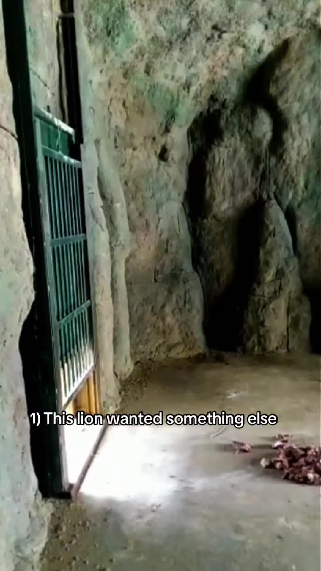 @WildwonderzZzz