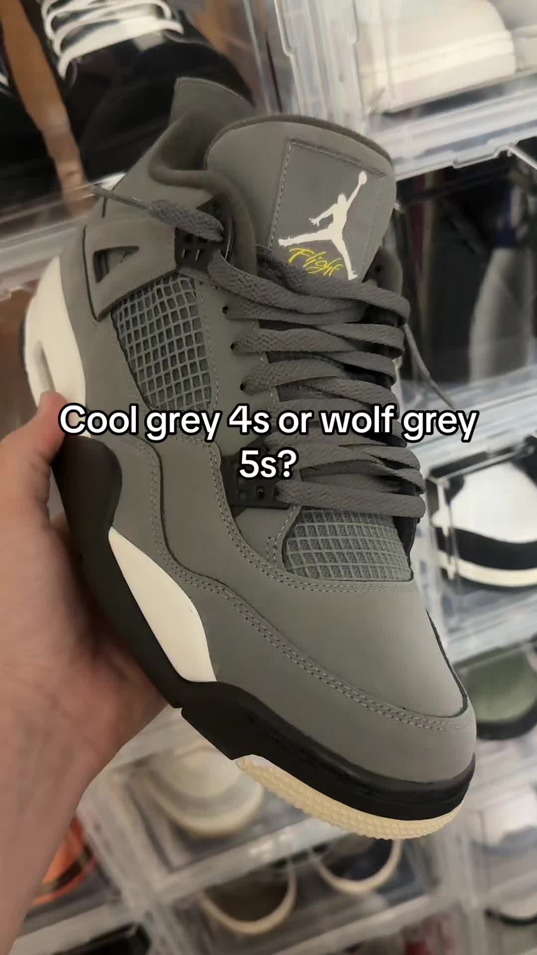 @Cesare💸