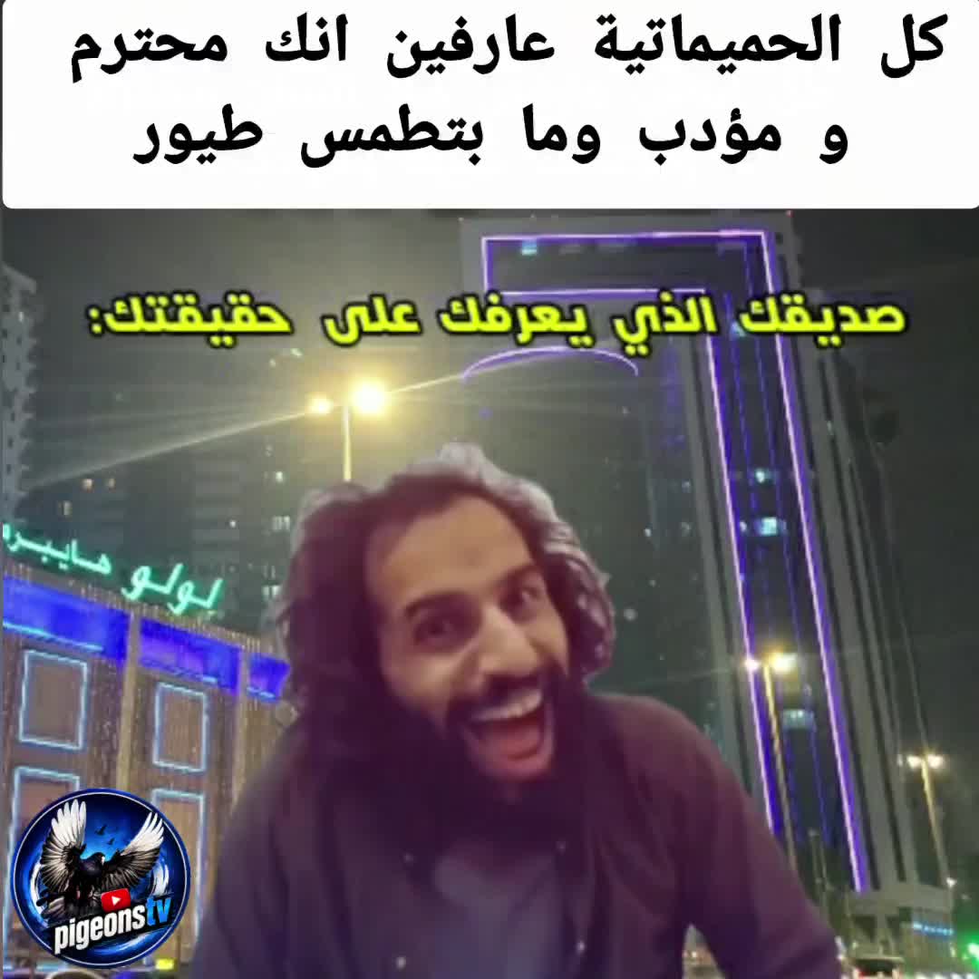 @Pigeons Tv