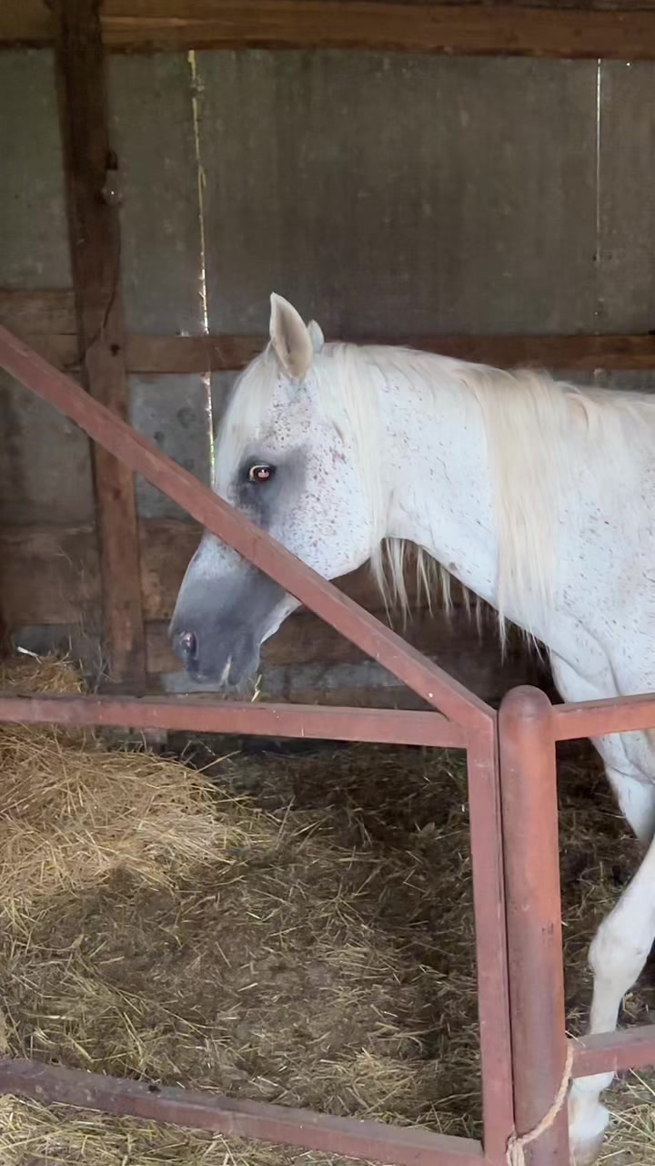 @MakvinStud