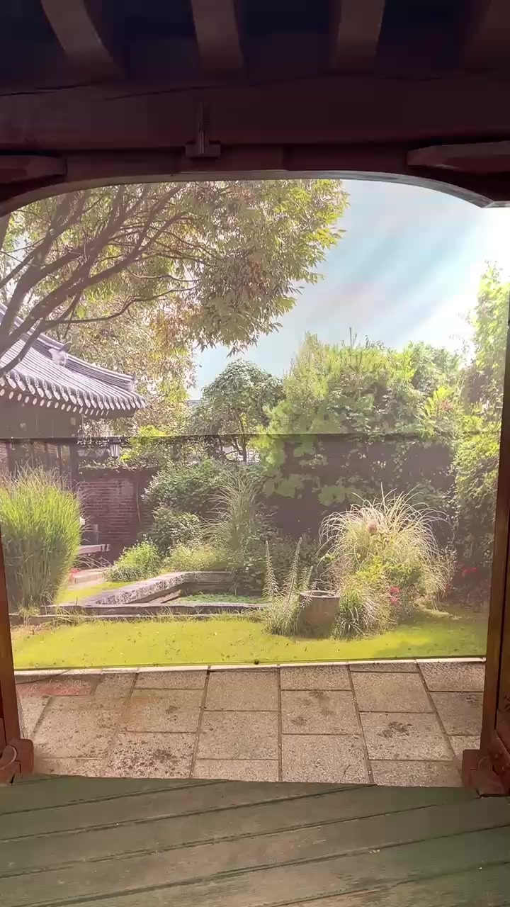 @KimTan🇿🇼🇰🇷