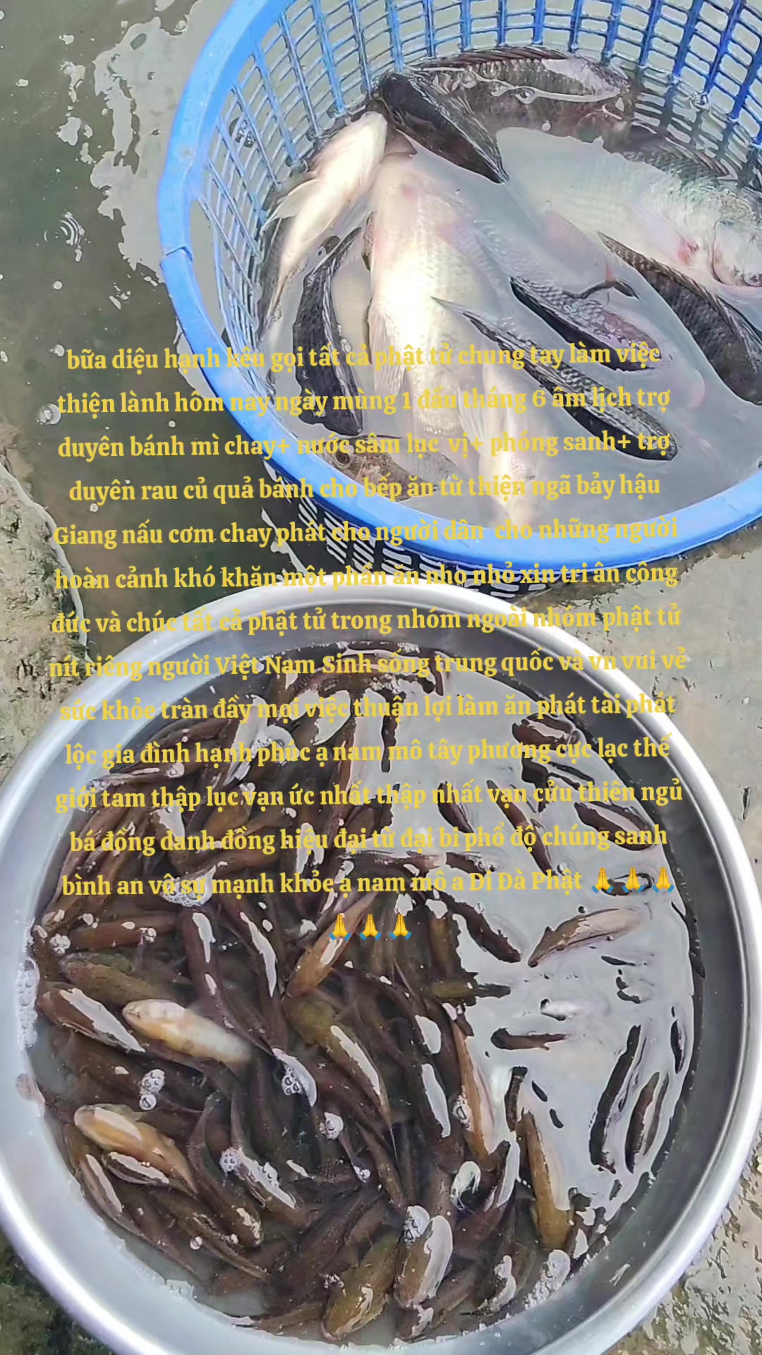 @nhóm tn diệu hạnh bỏ công sức