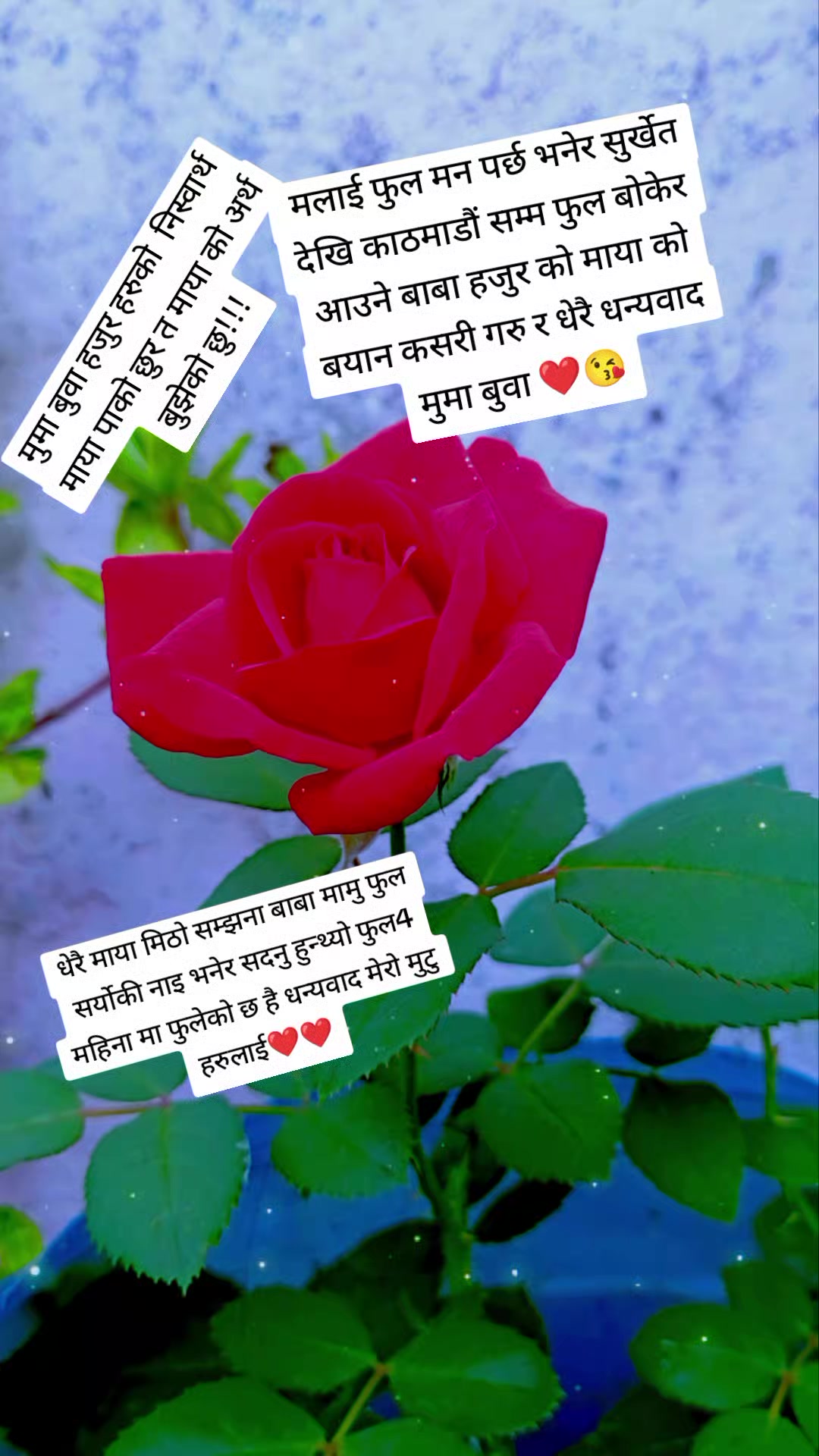 @Laxmi Shahi18