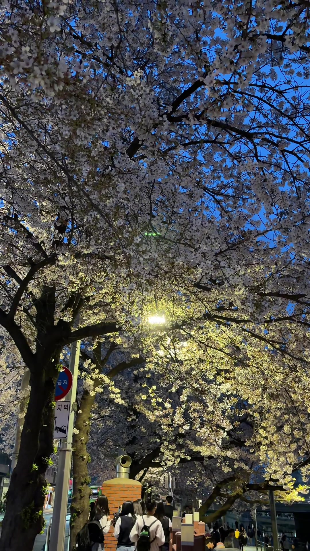 @럽브미