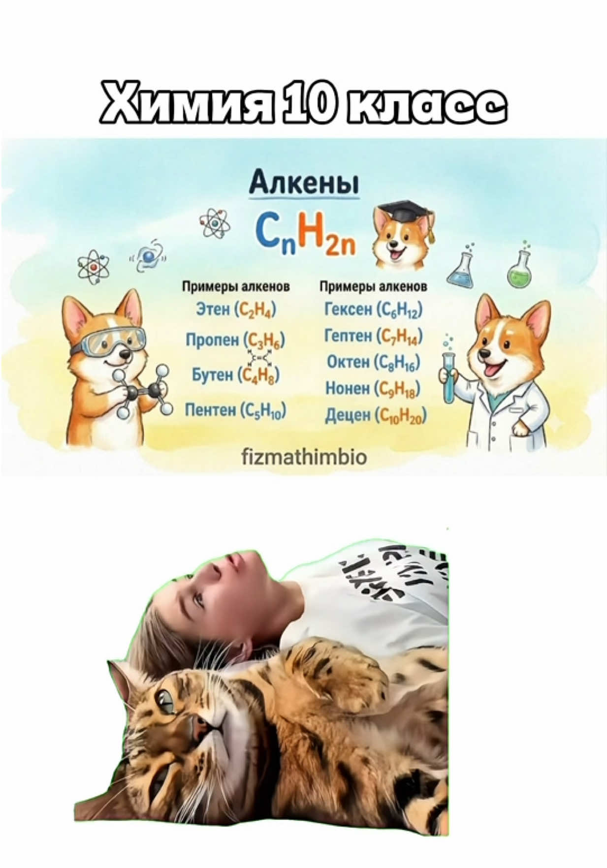 @Репетиторы физика химия матем