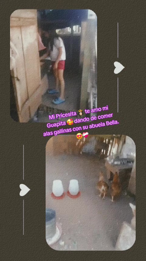 @Mirna🏳️🌈👑🌛🐈🕷♥️♠️🧸🐼🆎️