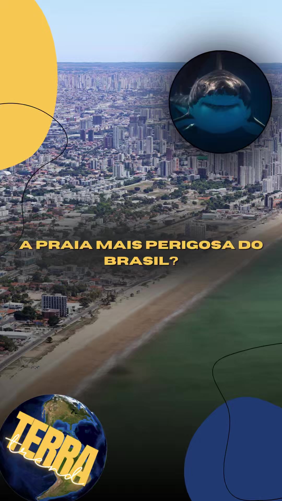 @Terra Trend
