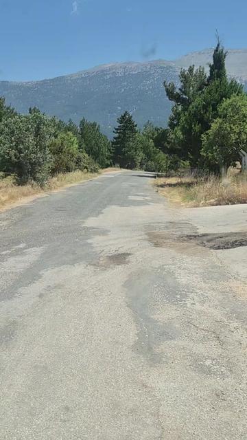 @#TAŞCI#