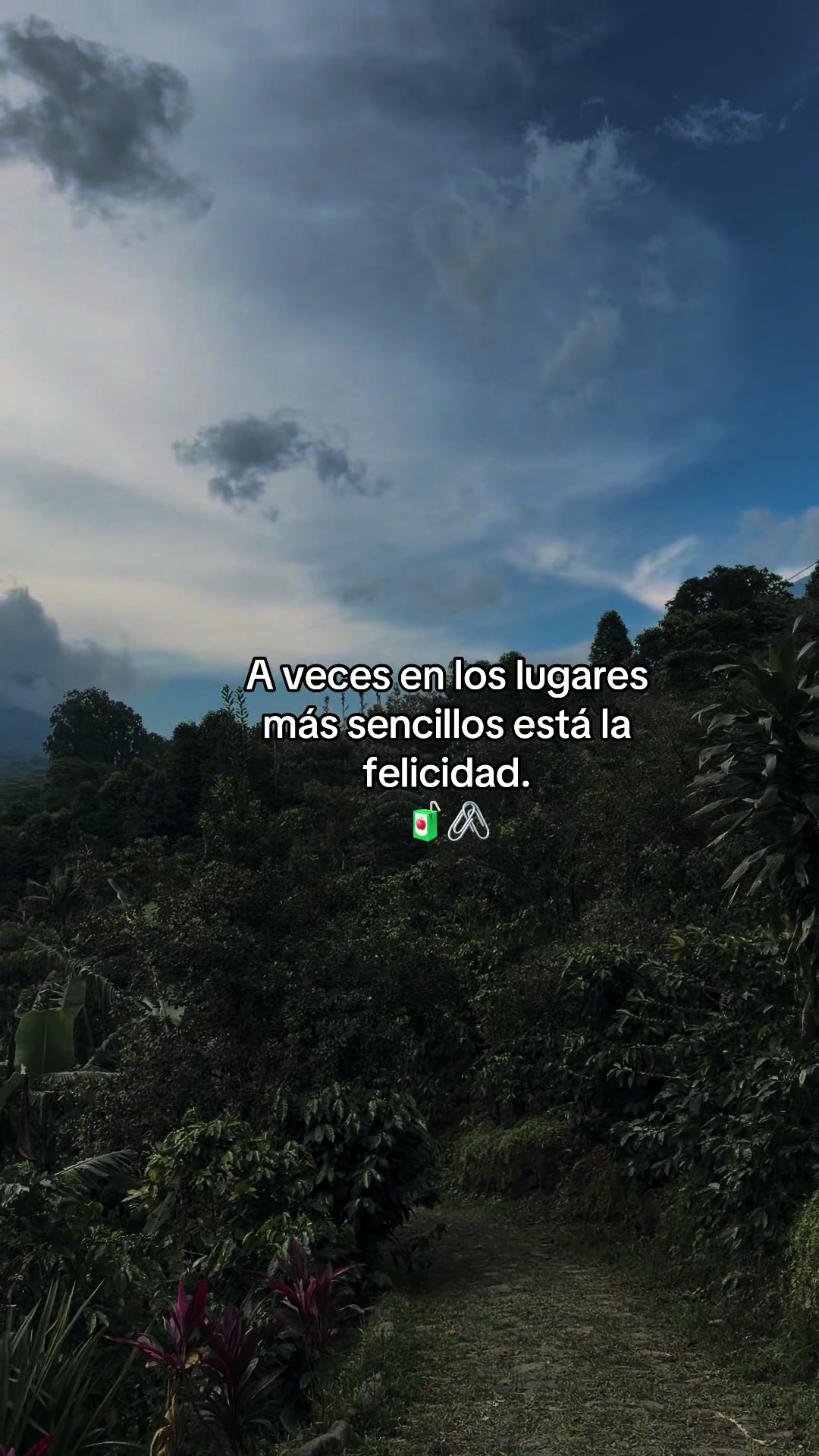 @ANALÍ🌻💙