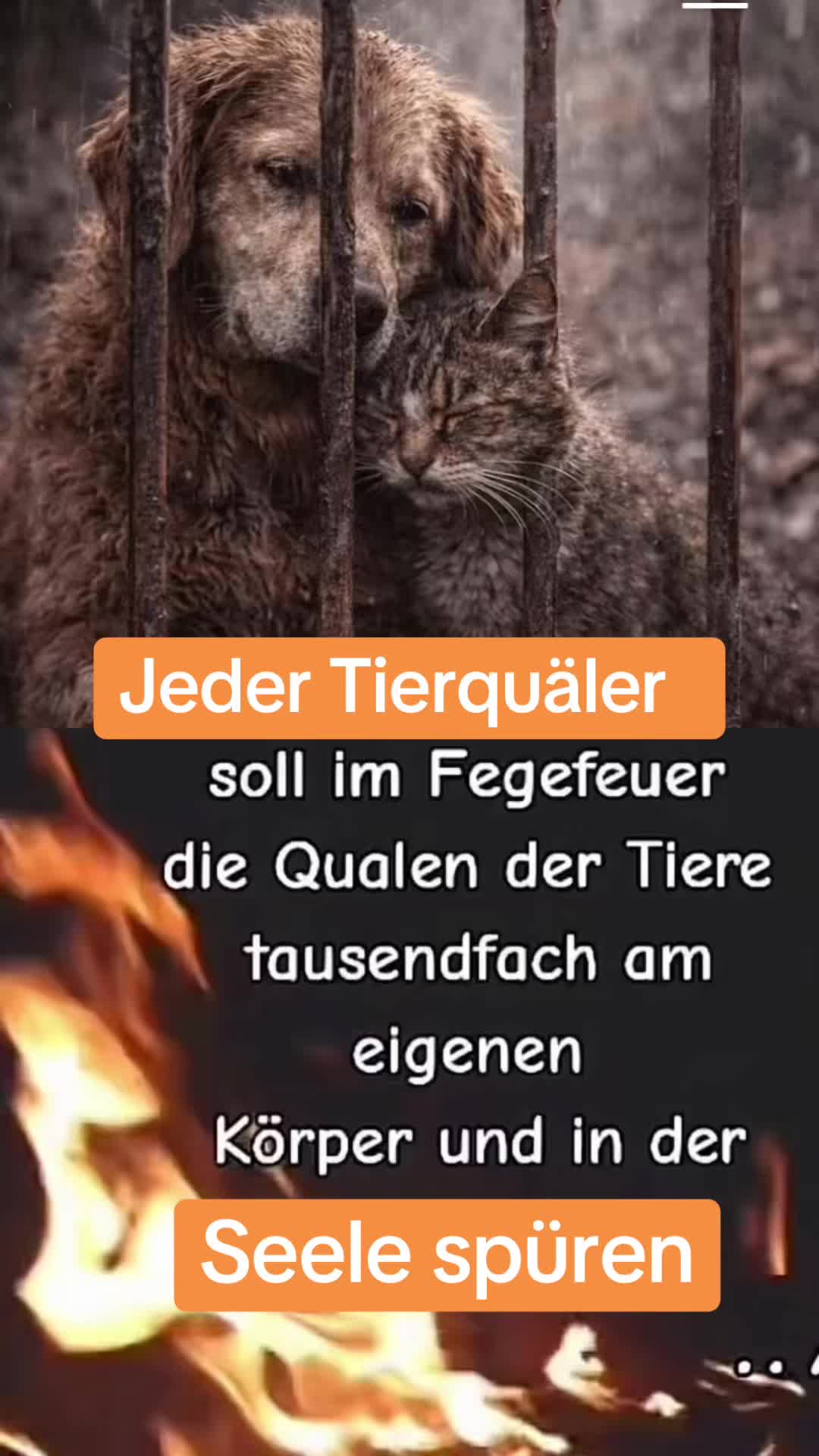 @Lua Team🐈🐕&zwj;🦺L&ouml;wenherz❤️🦁