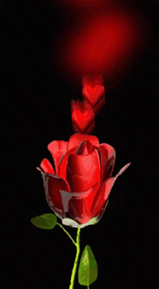 @aliyuabdulahim
