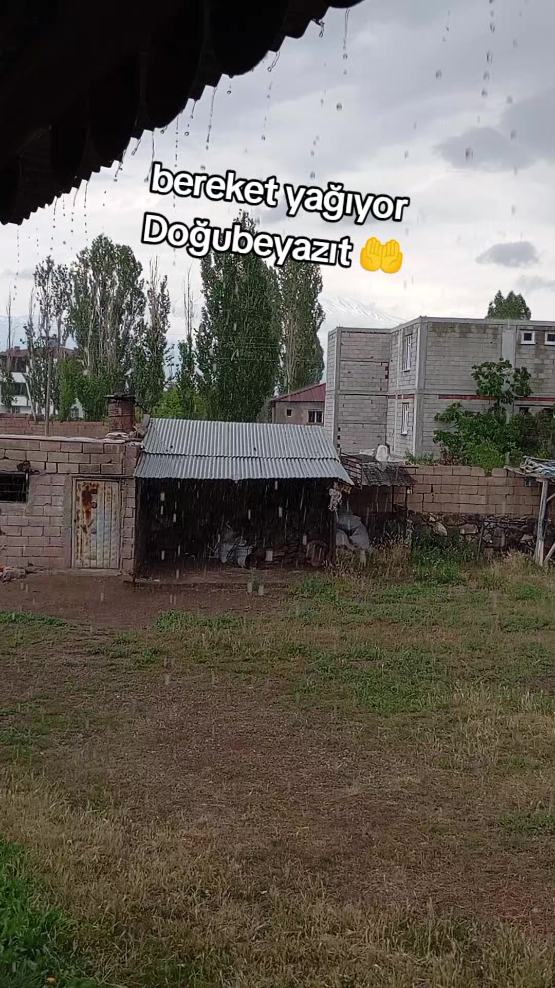 @bazidli adem04