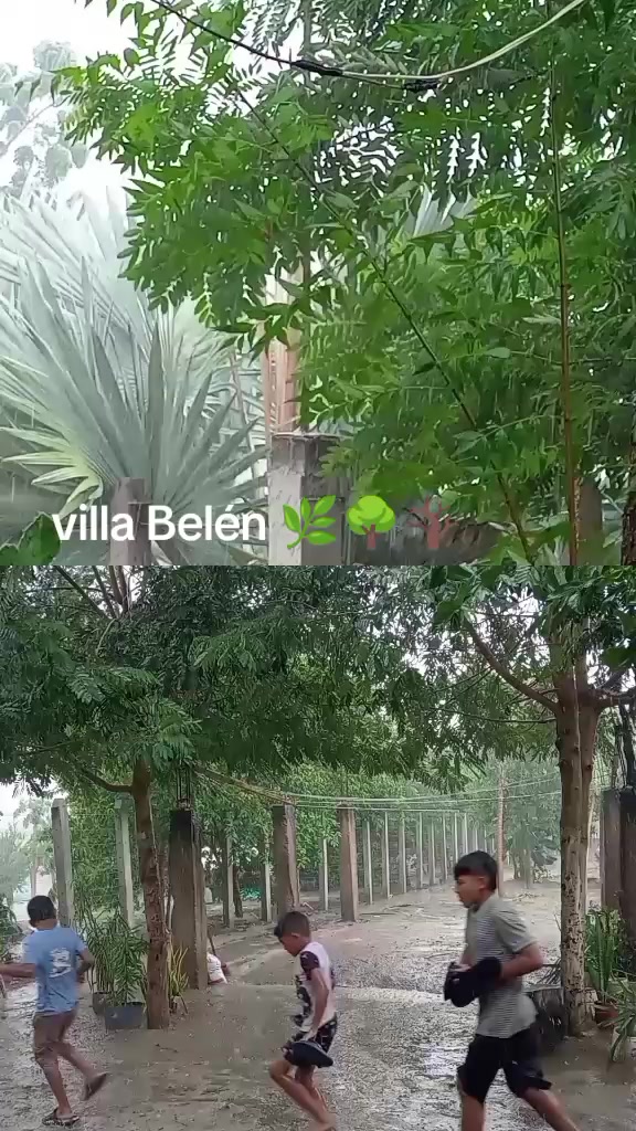 @Jaquelinherazo430