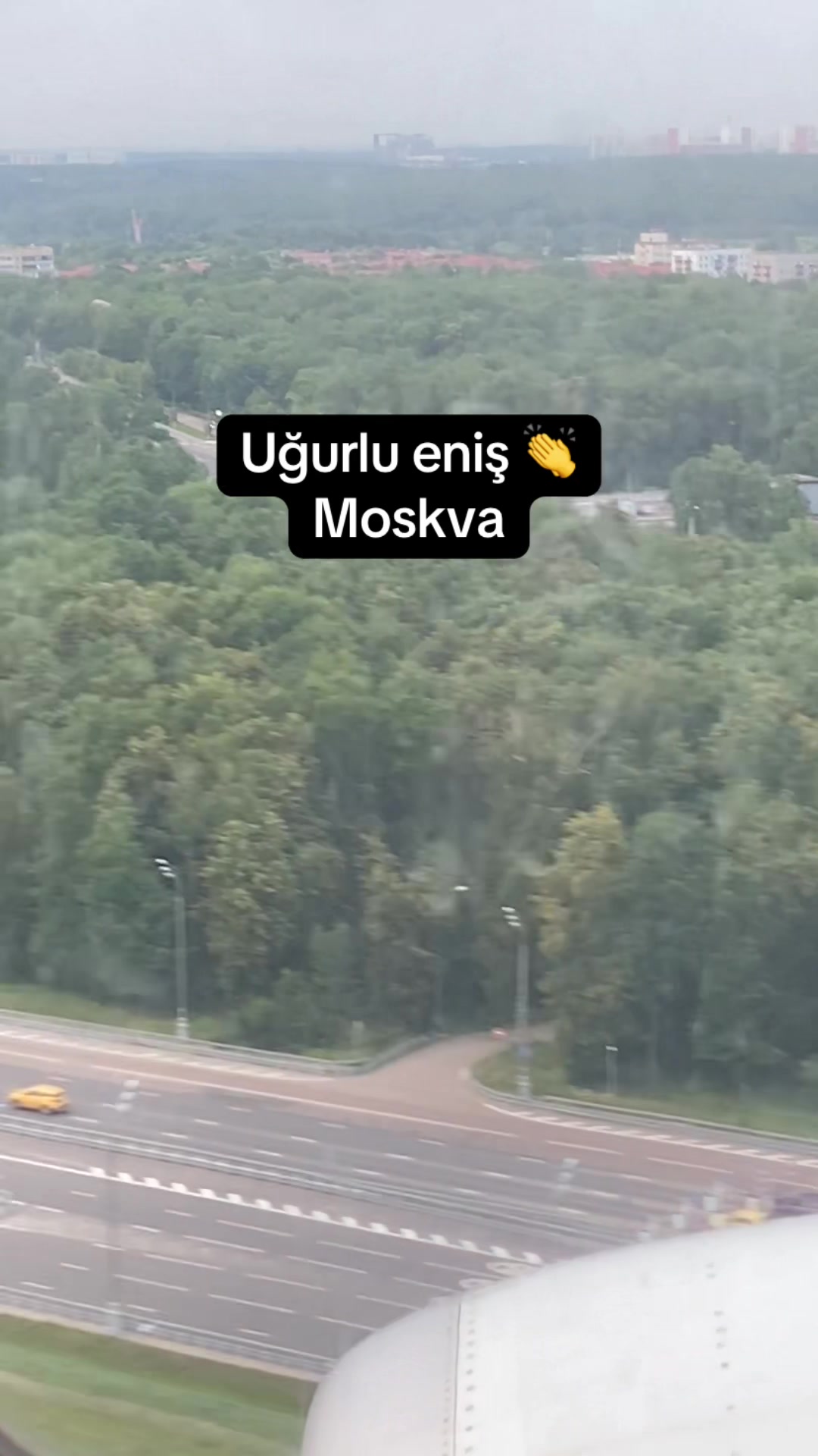 @gagli722