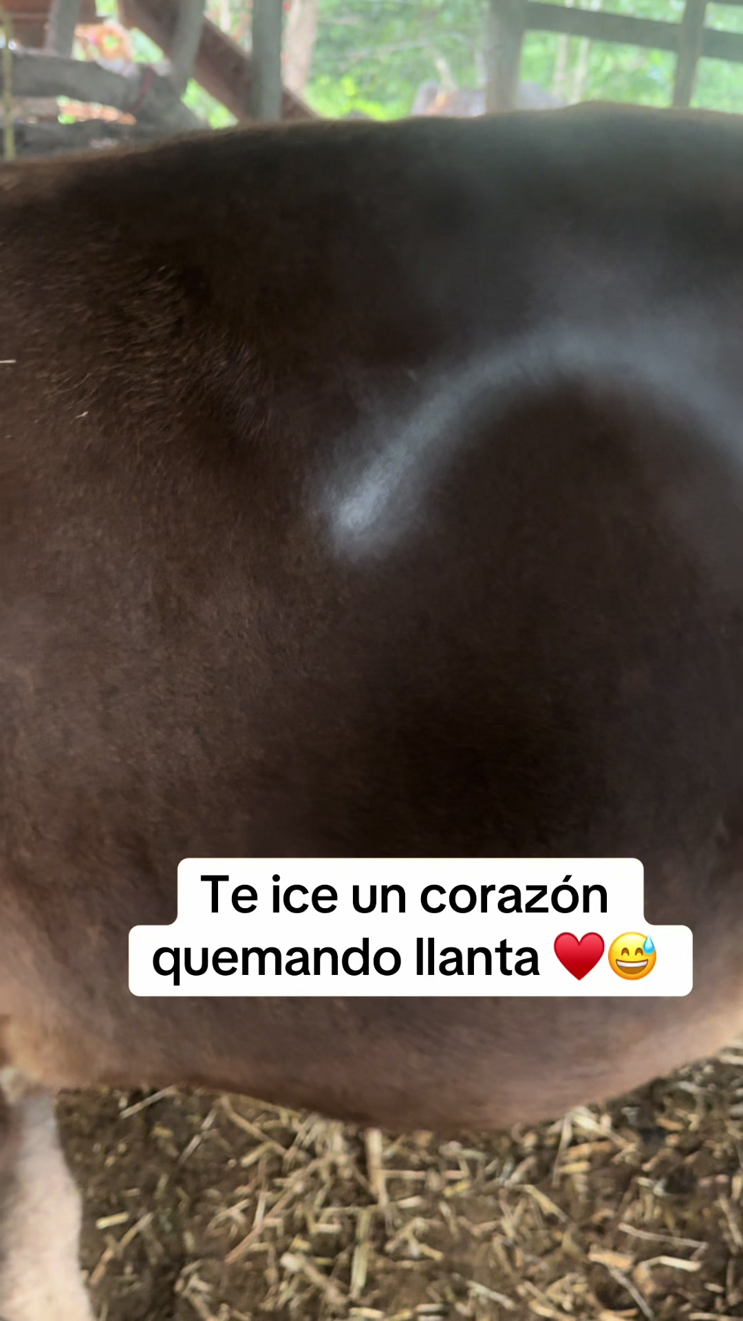 @Marlonsorto