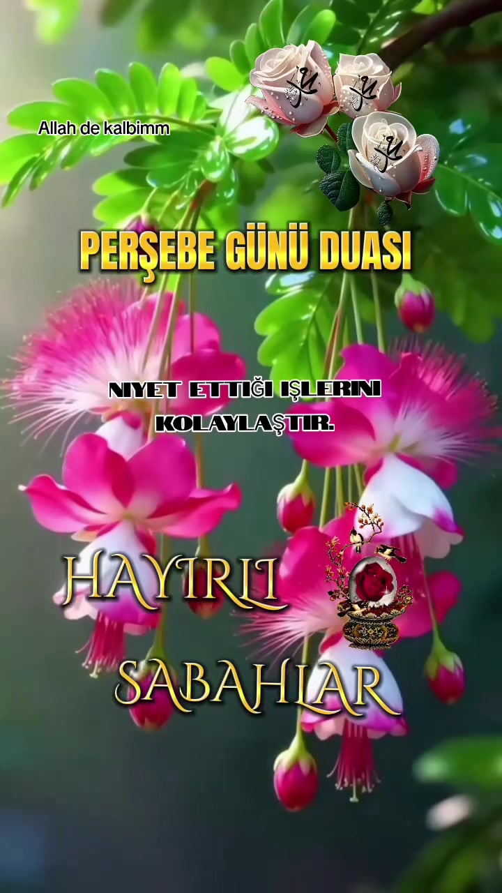 @Mehmet 46 maraşlı