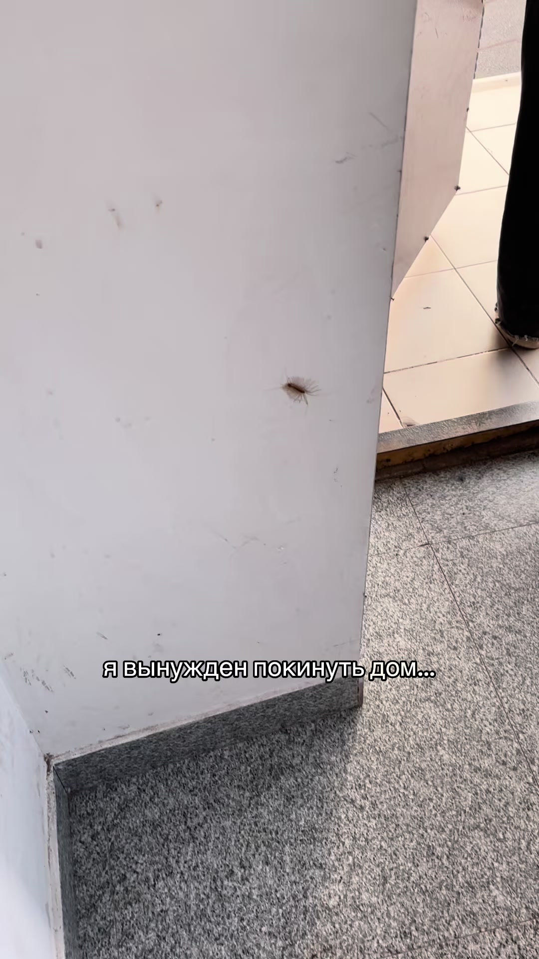 @вип какашка