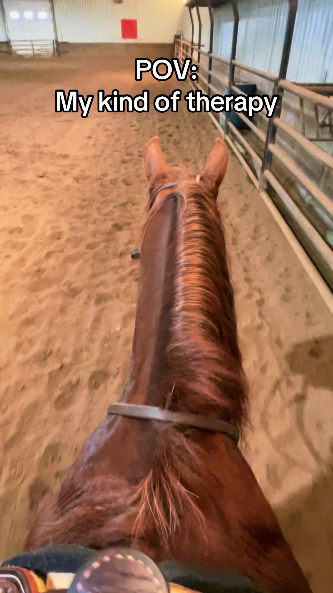 @starboundhorses