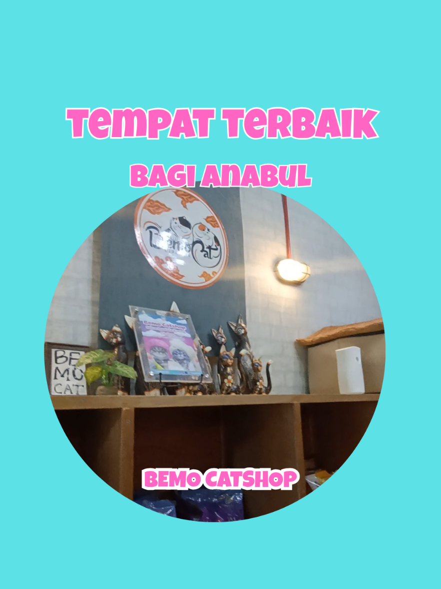 @Bemo Catshop