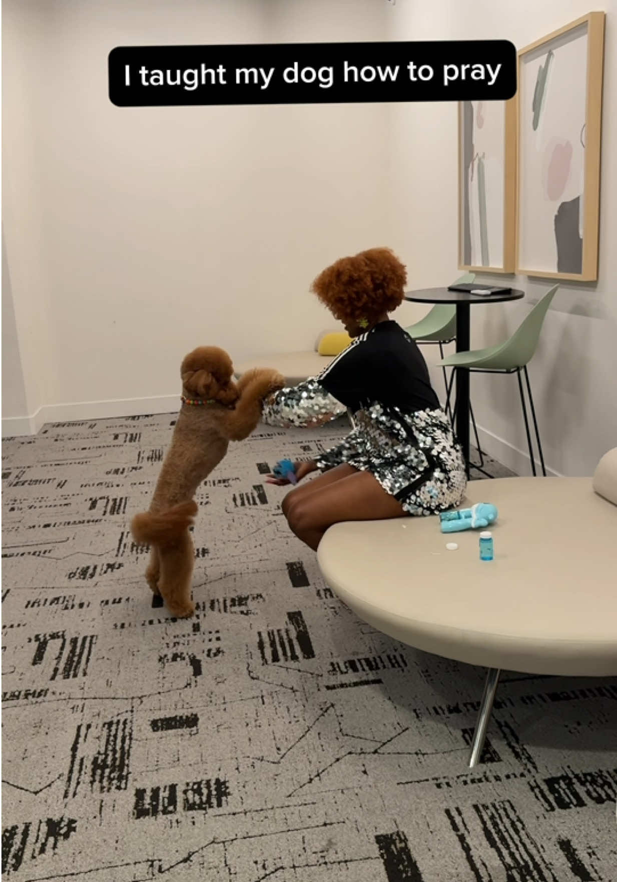 @Mocha | Mini Goldendoodle 🐾