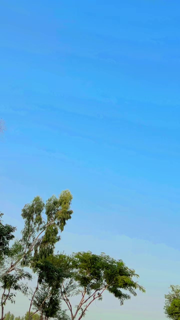 @❤️مانی😎ھرل🌊