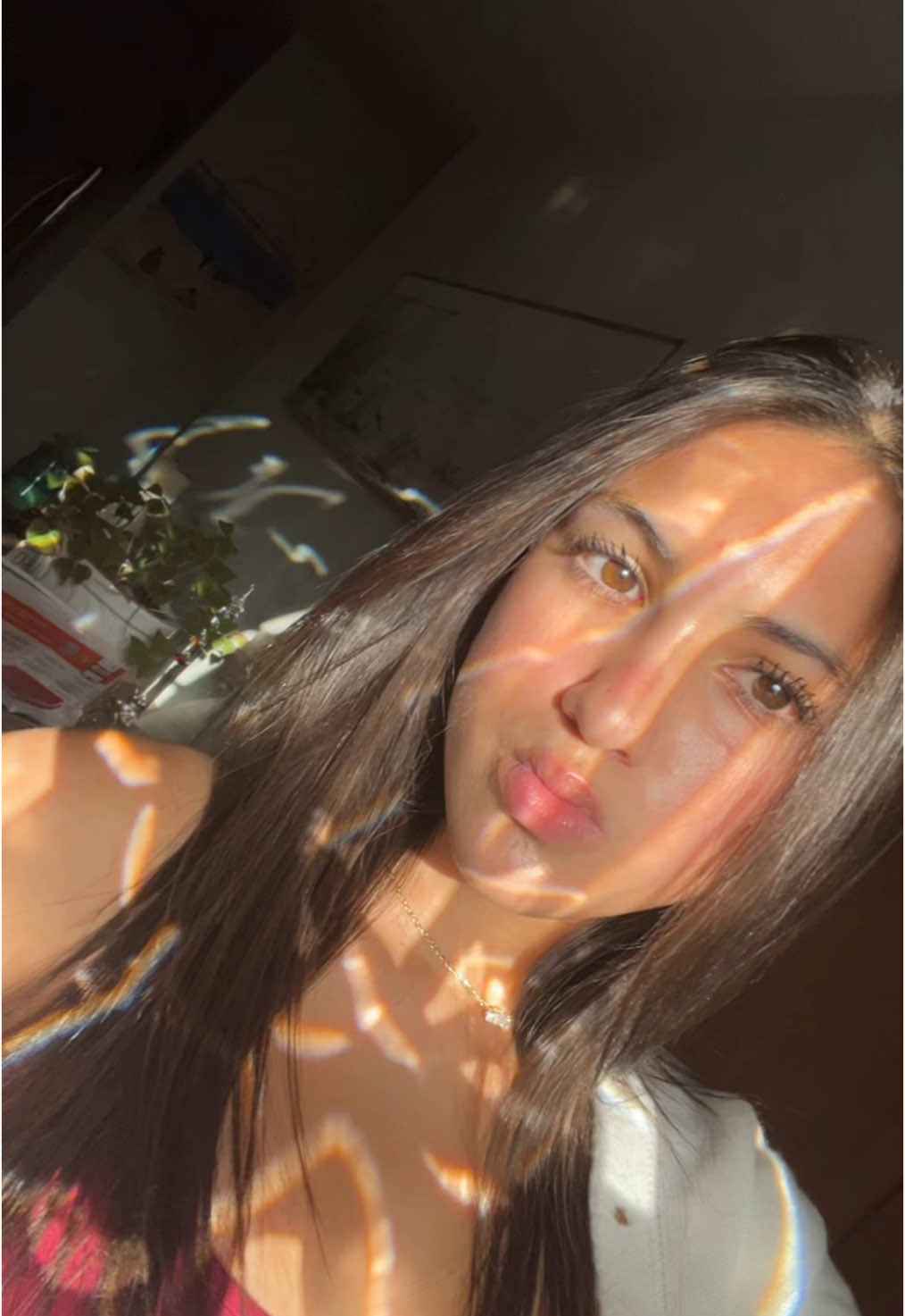 @lily
