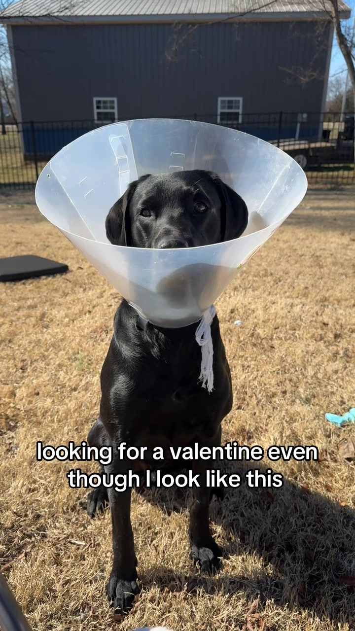 @ghostblacklab