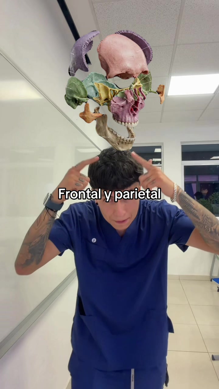 @ENDOBOY