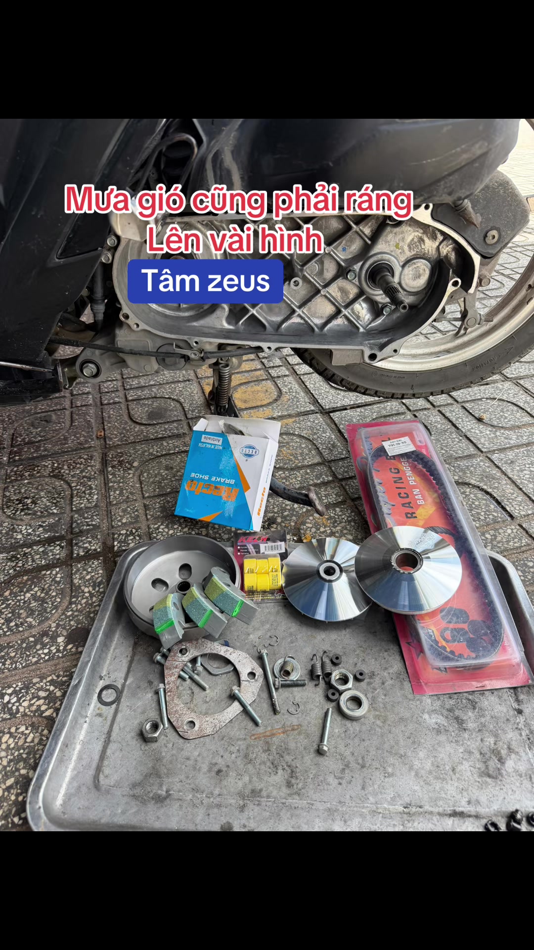 @Tâm Zeus