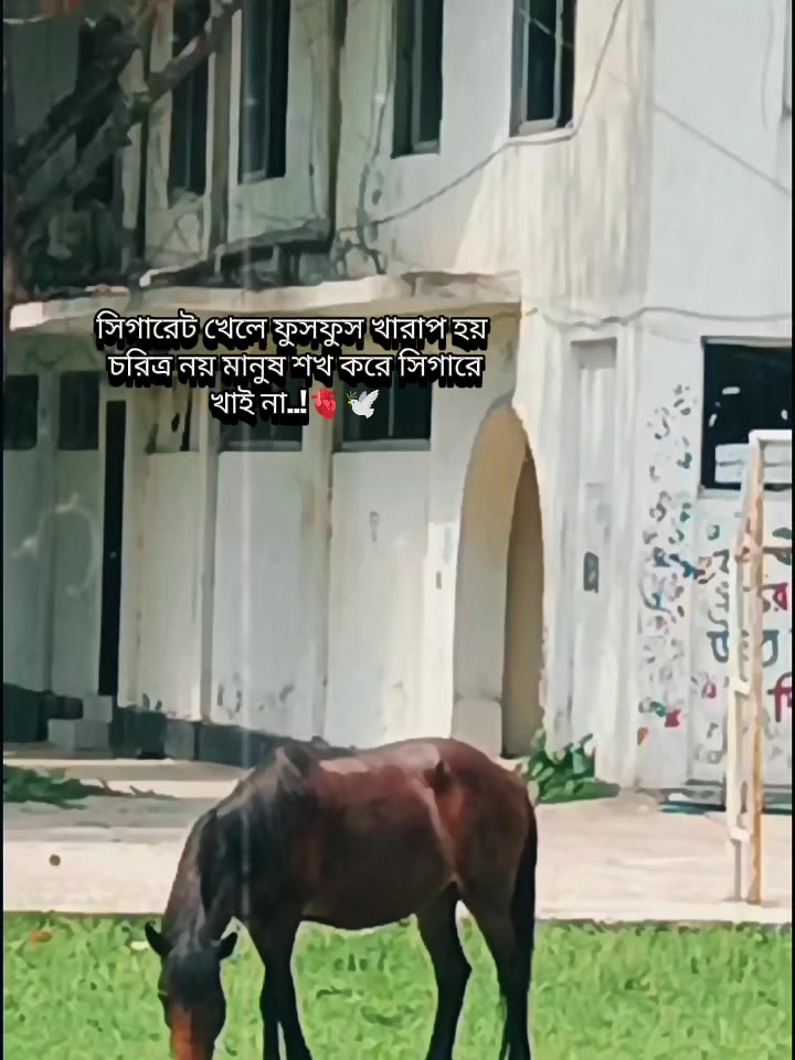 @A,,,đŠ