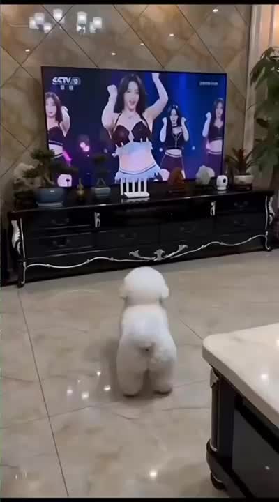 @Funny