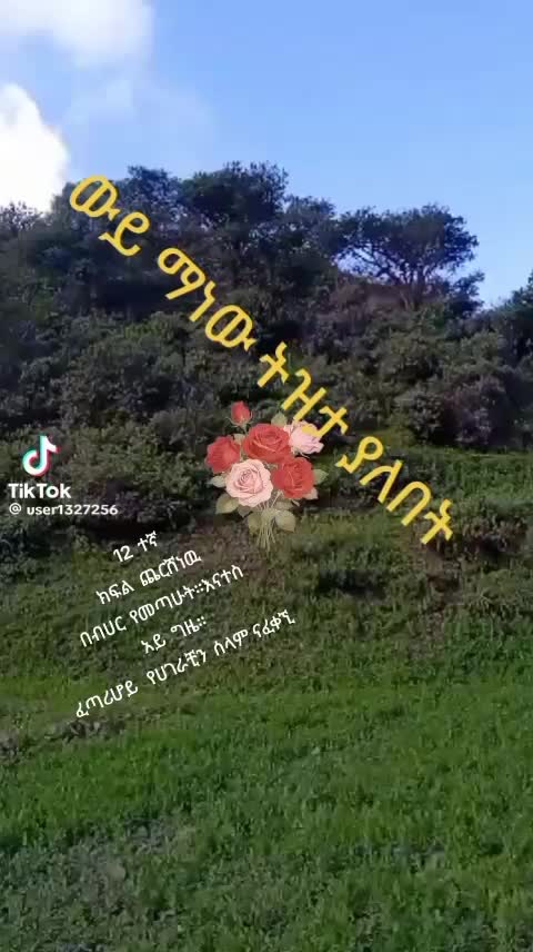 @hiwet