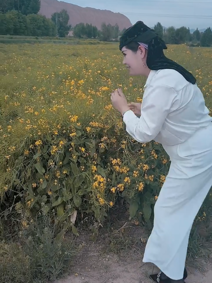 @taisan