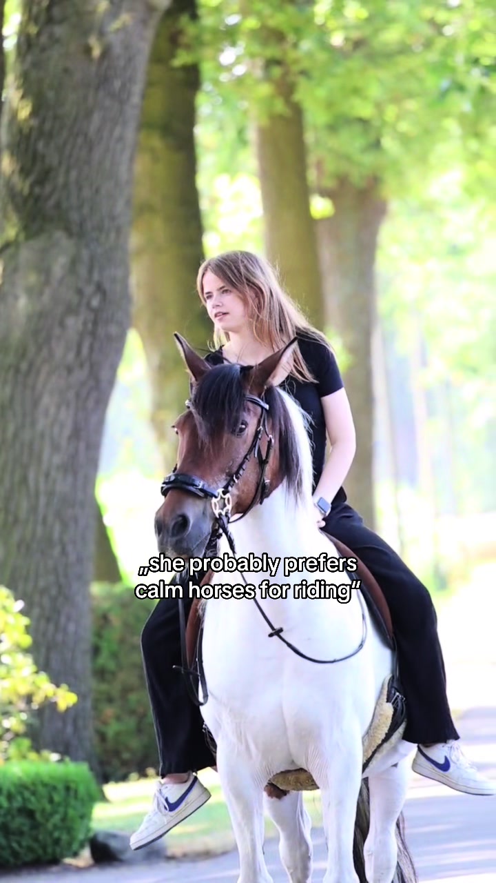 @LENIA&GINGO