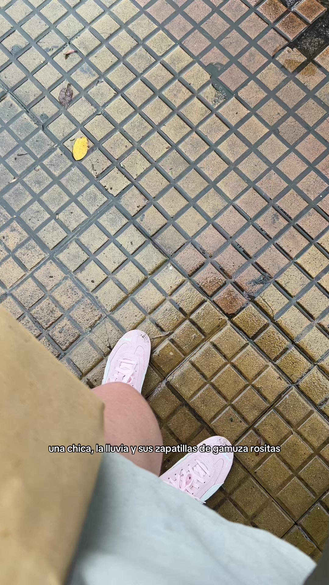 @fran.mattoni