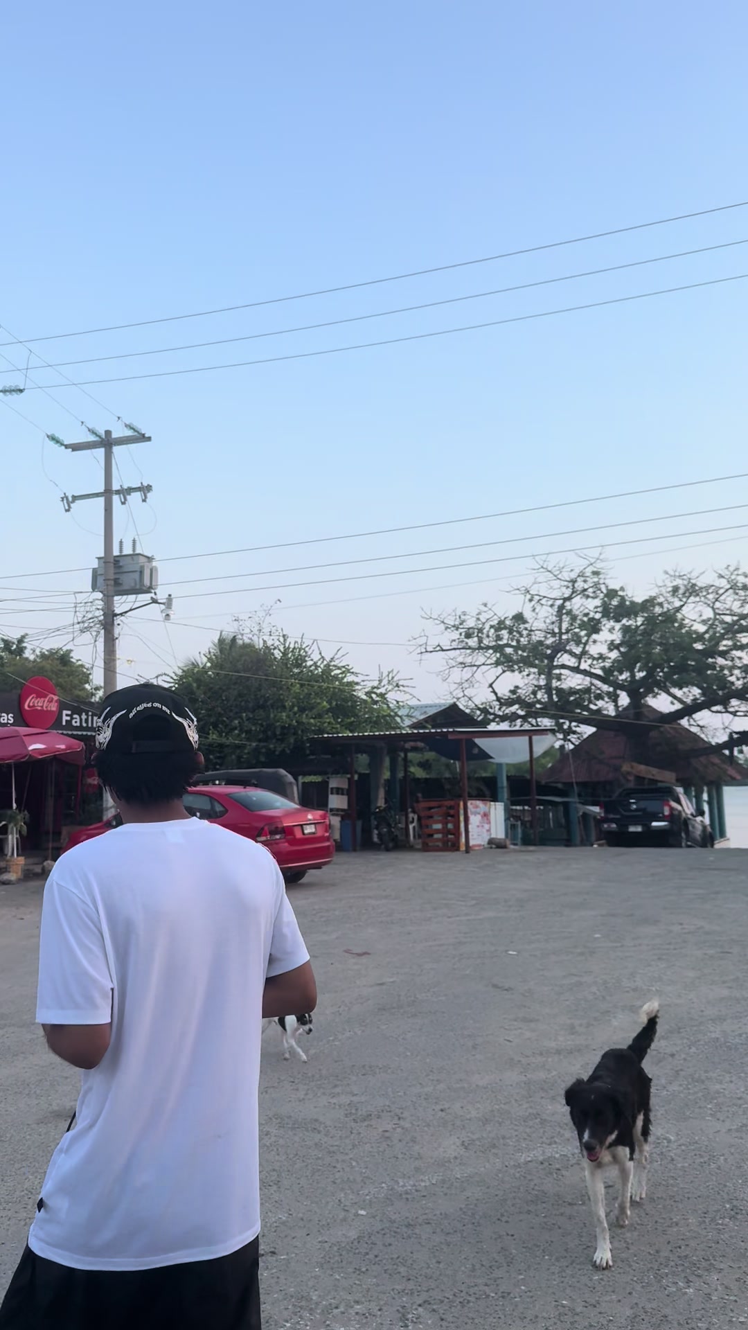 @violet
