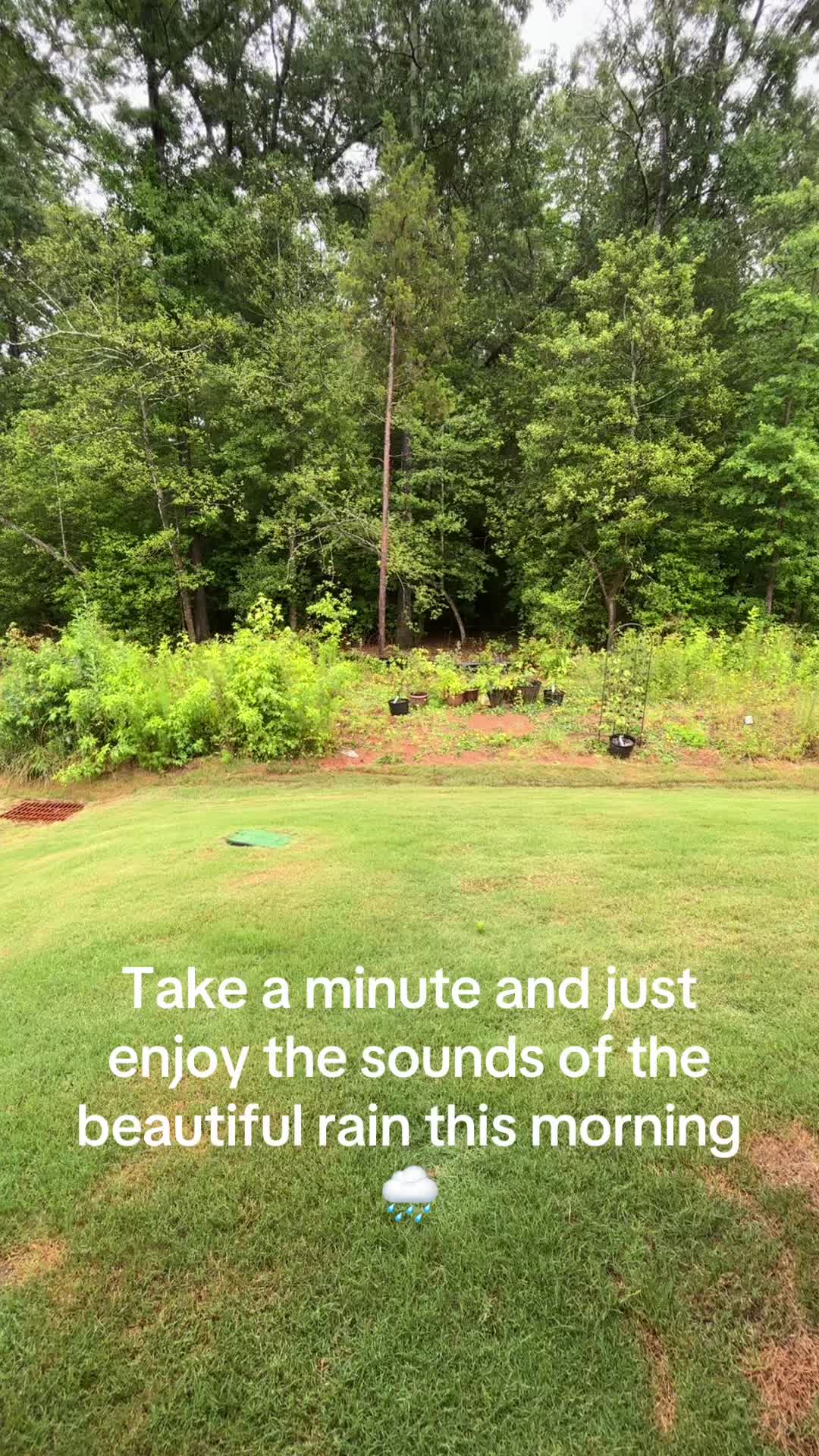 @momatalmost40
