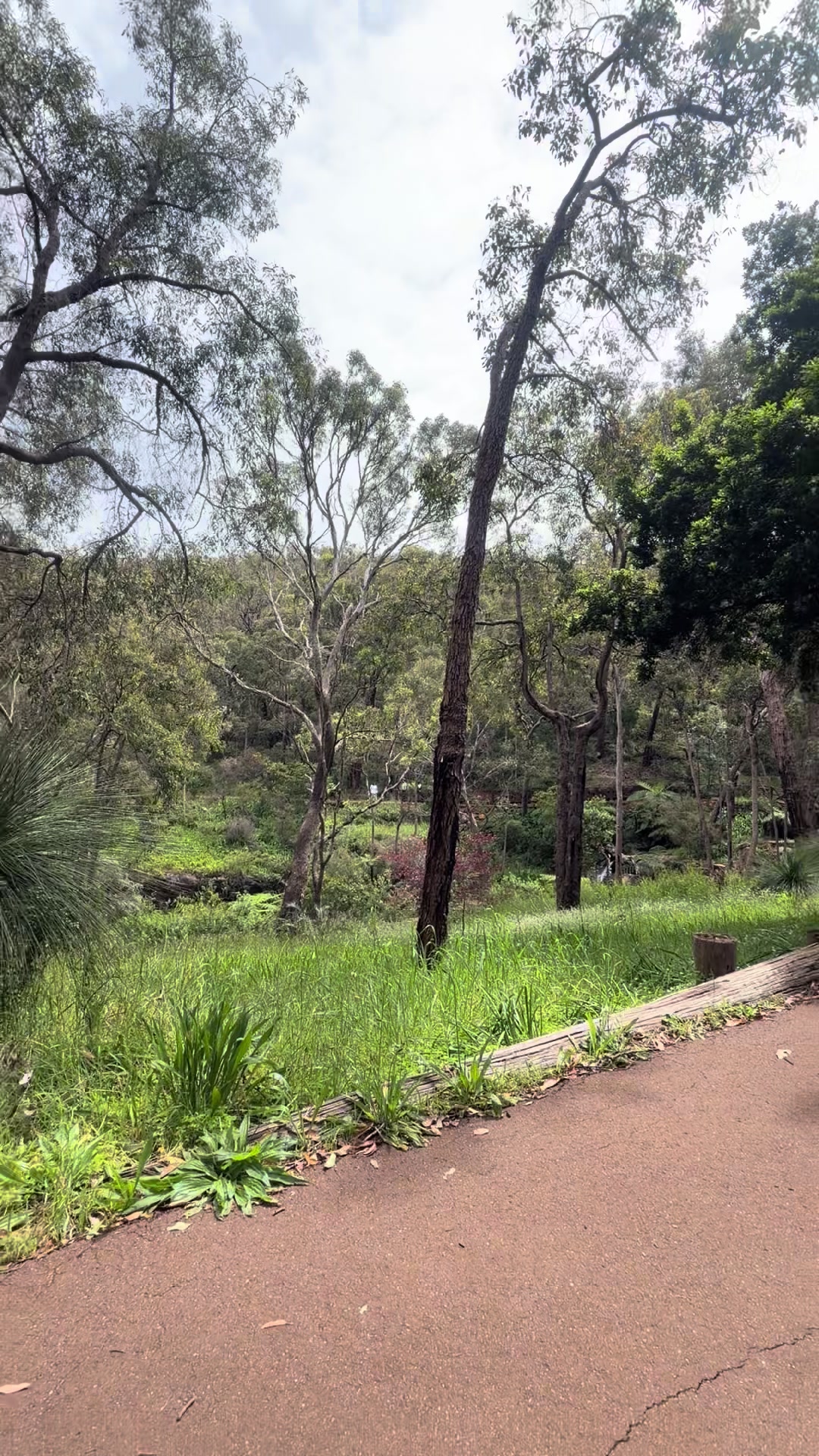 @Aussie Perth